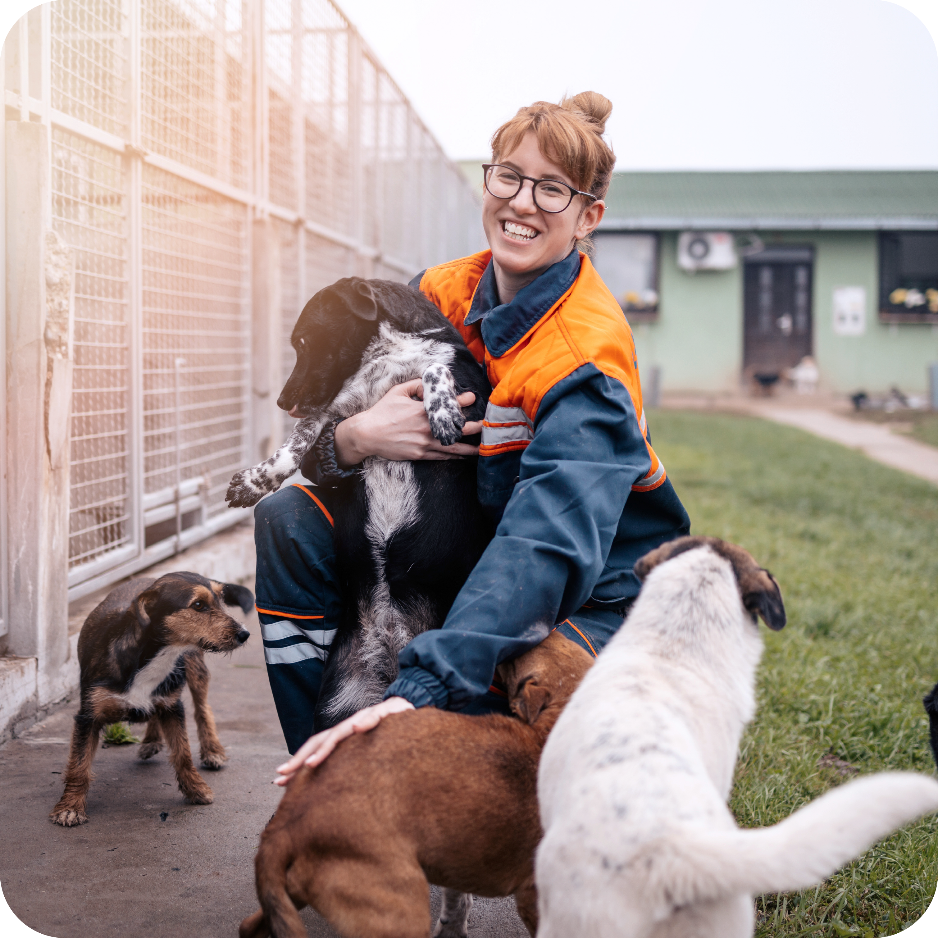 animal control worker