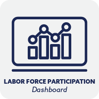 Labor Force Participation Dashboard