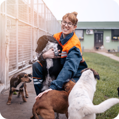 animal control worker